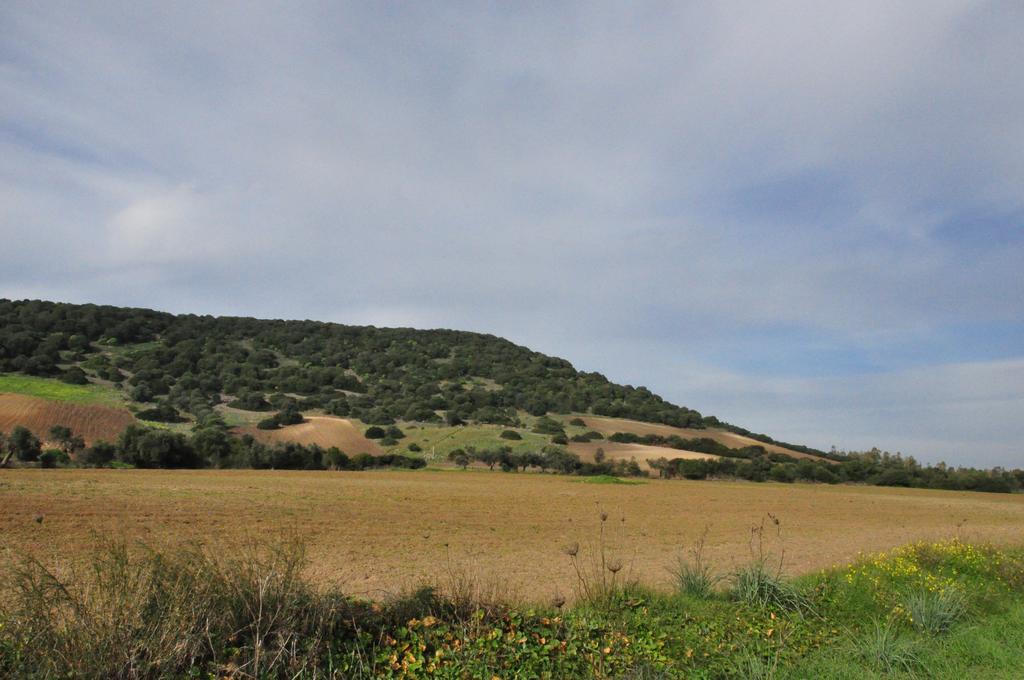 Vila Agriturismo Sa Scalitta Carbonia Exteriér fotografie